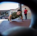 Marines crush HITT Warrior Athlete Readiness, Resilience Chall