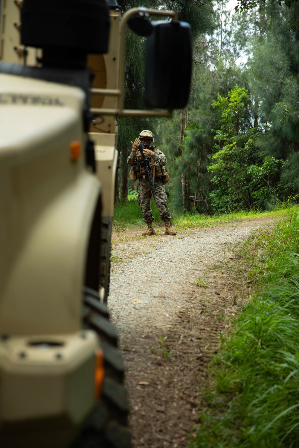 Marines with CLB-4 conduct cache drops in support of V 2/8