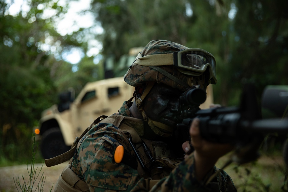 Marines with CLB-4 conduct cache drops in support of V 2/8