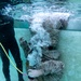 Marines participate in Underwater Egress survival Training