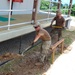 NMCB-5's Detail Papua New Guinea build a dental facility