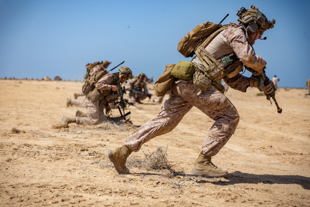 Distinguished Visitors view 11th MEU, RSNF conduct exercise Indigo Defender 21