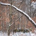 Cold-Weather Operations Course Class 21-03 at Fort McCoy, Wisconsin