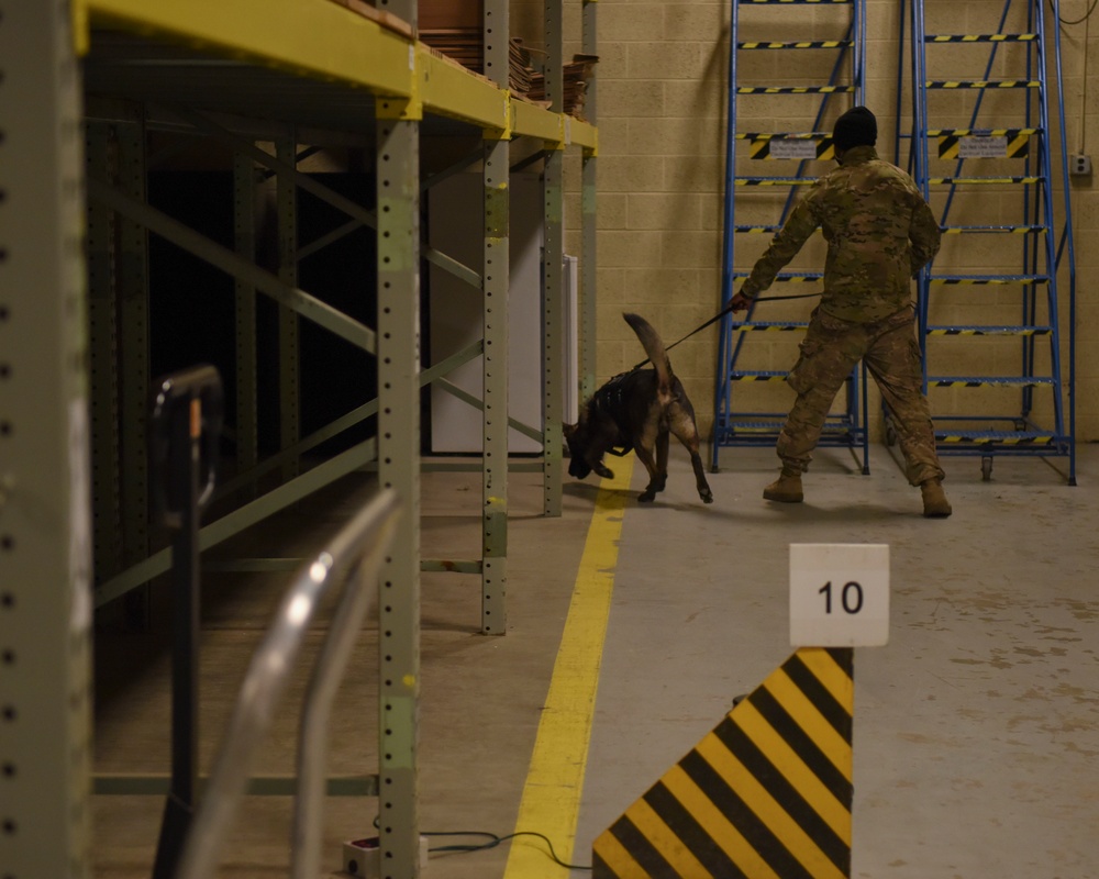 319th Security Forces Squadron partners with local law enforcement during military working dog training day