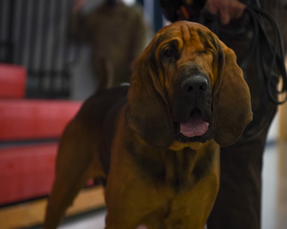 319th Security Forces Squadron partners with local law enforcement during military working dog training day