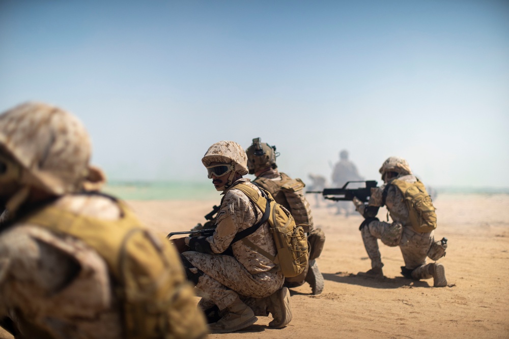 11th MEU, RNSF amphibious assault during exercise Indigo Defender 21