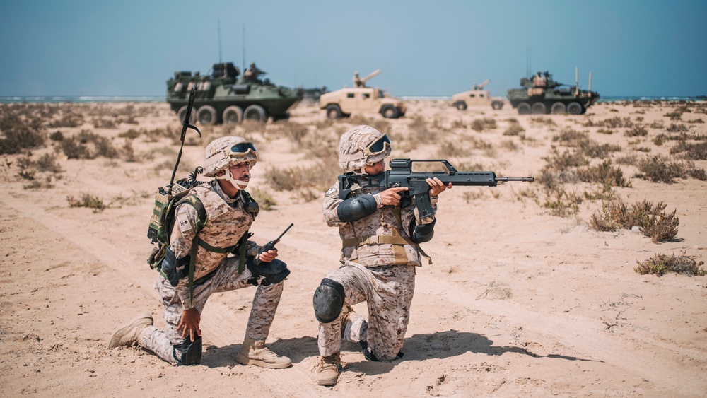 11th MEU, RNSF amphibious assault during exercise Indigo Defender 21