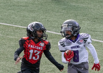 Falcons take state, 32-0