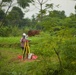 Recovery Operations in Nghe An Province, Vietnam