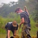 Recovery Operations in Nghe An Province, Vietnam