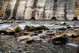 A tale of two dams: The quiet warrior and the gritty worker