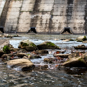 A tale of two dams: The quiet warrior and the gritty worker