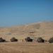 Light Armored Reconnaissance Company conduct section gunnery range at Bislah, Israel