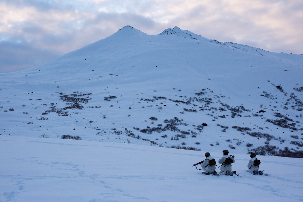 Indian and U.S. Army troops conduct joint FTX during Yudh Abhyas 21