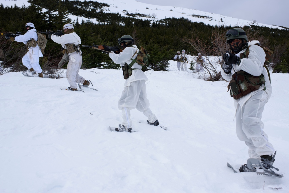 Indian and U.S. Army troops conduct joint FTX during Yudh Abhyas 21