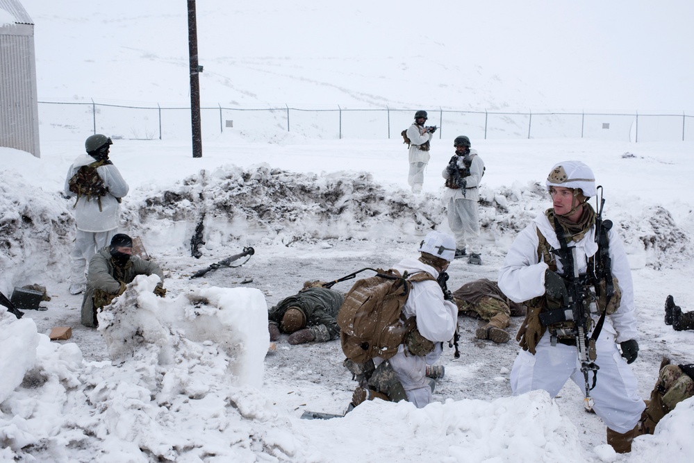 Indian and U.S. Army troops conduct joint FTX during Yudh Abhyas 21