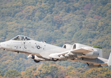 Service legacy comes full circle in Korea