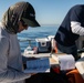 Scientists and fisherman collect marine life samples for analysis after oil spill