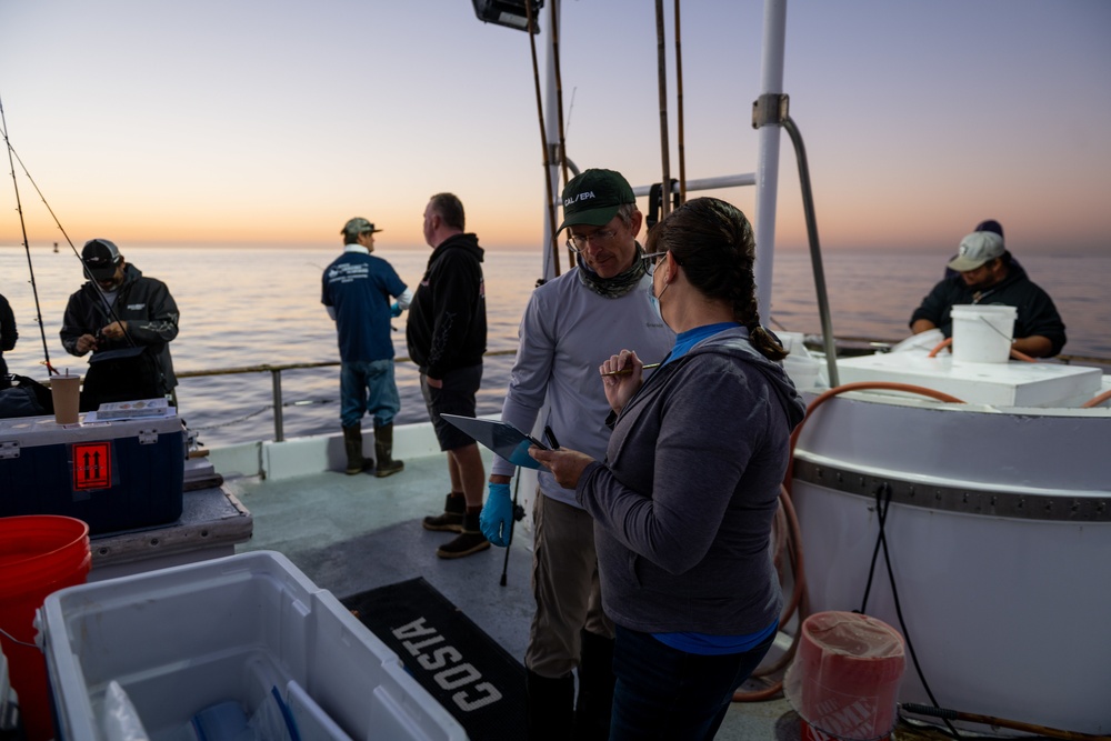 Scientists and fisherman collect marine life samples for analysis after oil spill