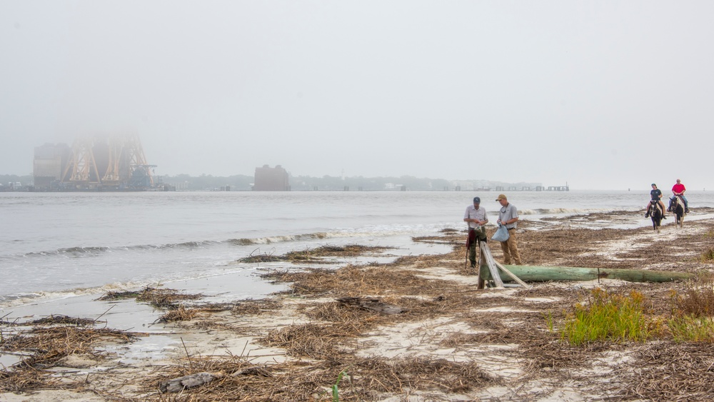 A shoreline assessment team surveys the beach