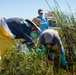 A response shoreline clean-up team removes oiled spartina grass