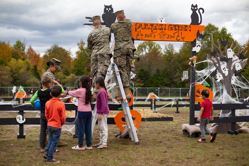 Fall Festival TF Quantico