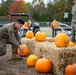 Fall Festival TF Quantico