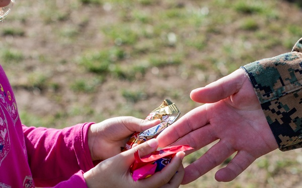 Fall Festival TF Quantico