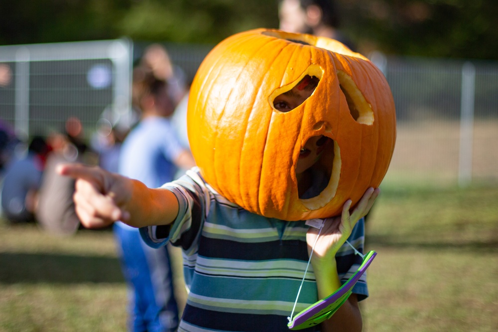 Fall Festival TF Quantico