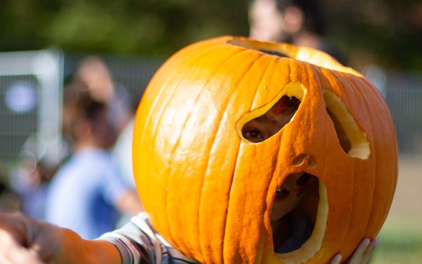 Fall Festival TF Quantico