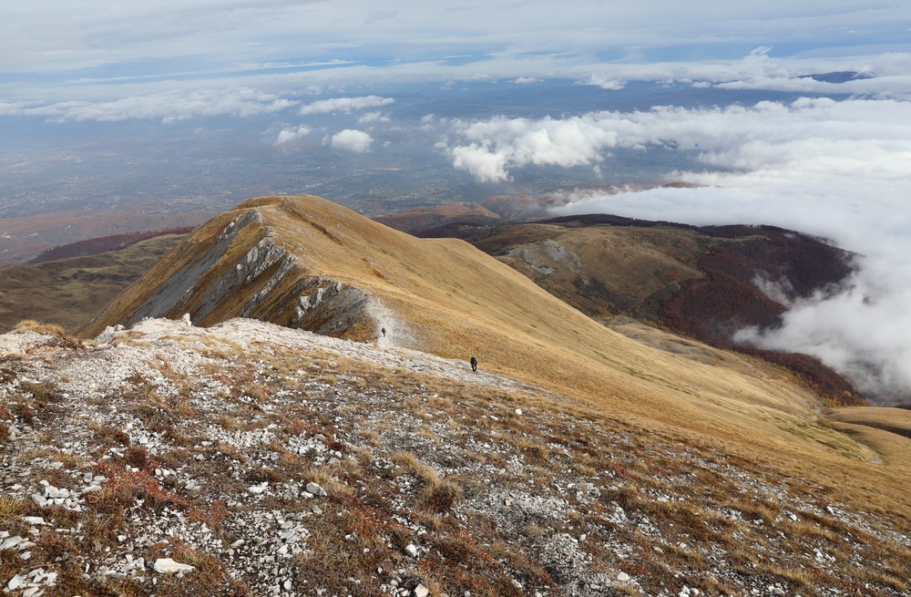 Regional Command - East Soldiers Participate in Best Mountain Warrior Competition