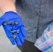 A shoreline assessment team member recovers small plastic debris