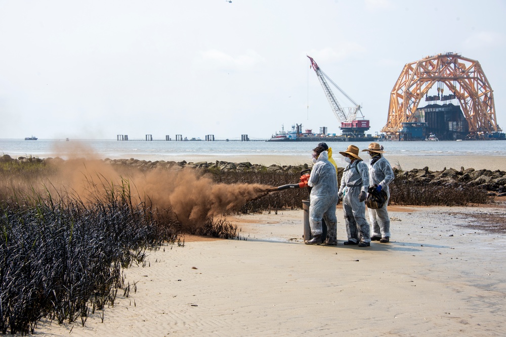 A shoreline clean-up team applies sphagnum moss to oil marsh grass