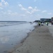 A shoreline clean-up team removes oil