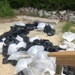 Clean-up teams filled several bags of oiled sand