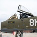 The 124th Fighter Wing Commander's Fini Flight