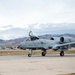 The 124th Fighter Wing Commander's Fini Flight