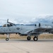 The 124th Fighter Wing Commander's Fini Flight