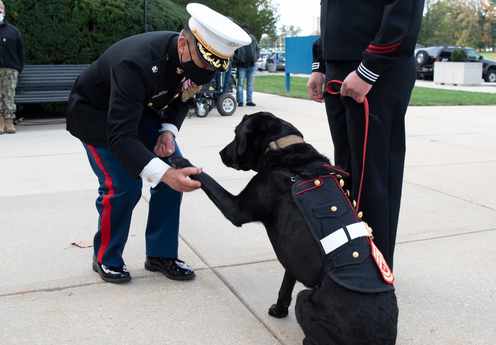 Walter Reed Bethesda Celebrates U.S. Marine Corps’ 246th Birthday