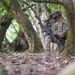 Commando Warrior field training exercise