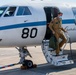 UN Command-Rear representatives and members of the French Navy observe takeoff and landing of the Falcon F200