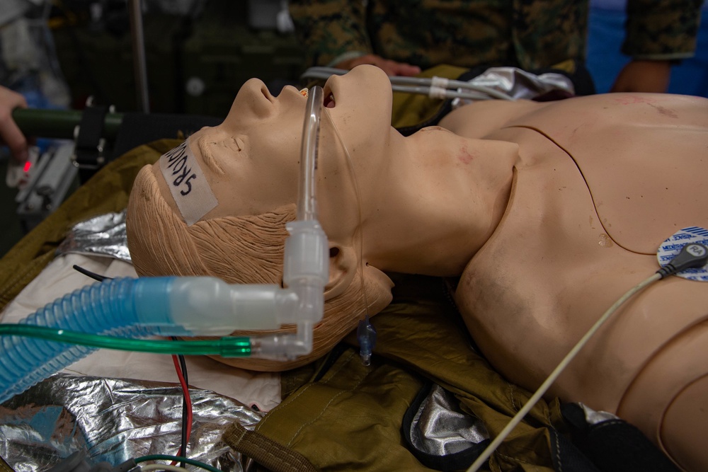 3rd Medical Battalion conducts Role 2 medical training