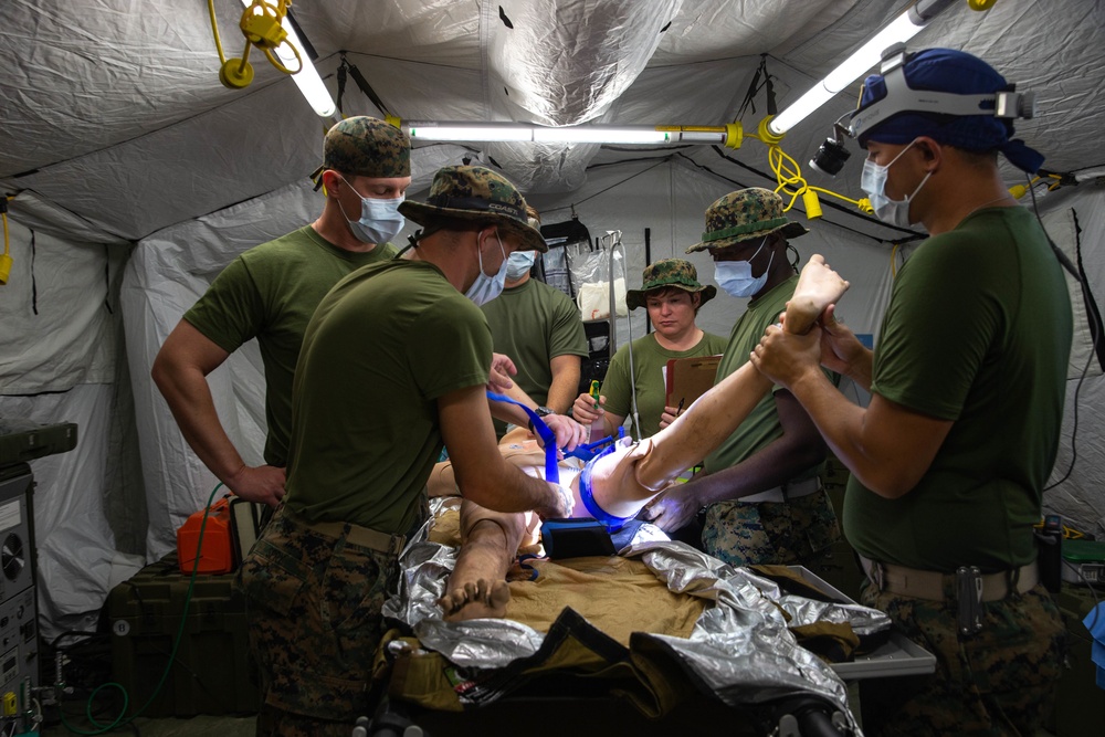 3rd Medical Battalion conducts Role 2 medical training