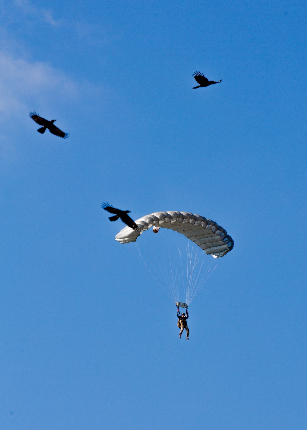 Special Forces Battalion Wide Airborne Jump