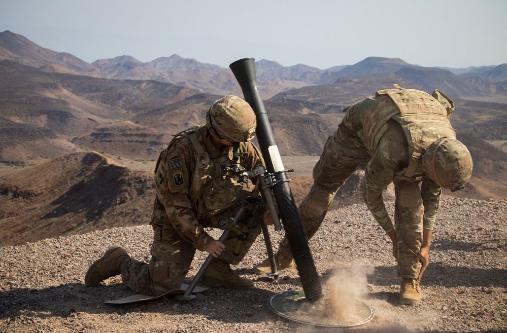Fire Support Team uses digital fires for mortar live-fire