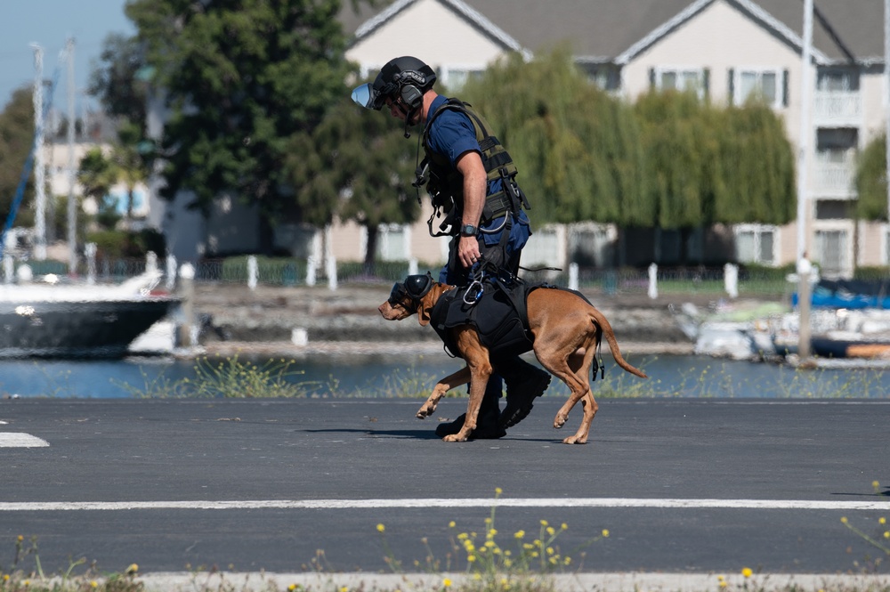 Coast Guard member conducts K9 hoist training