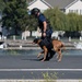 Coast Guard member conducts K9 hoist training