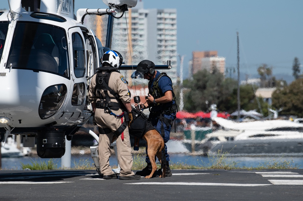 Coast Guard member conducts K9 hoist training