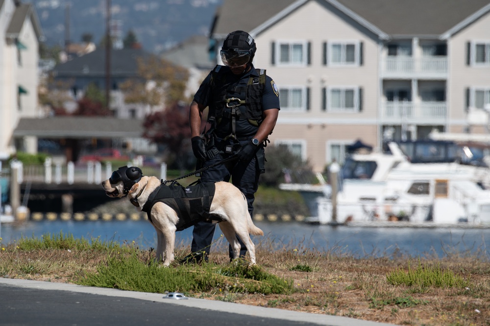 Federal Protective Service member prepares for a K9 hoisting evolutions