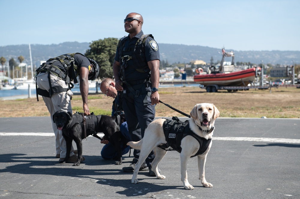 Federal Protective Service member prepares for a K9 hoisting evolutions